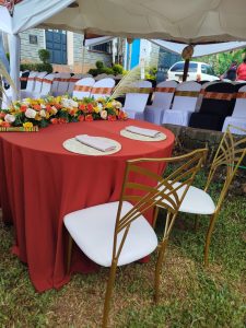 chameleon chairs for hire on offer 